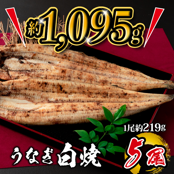 国産 うなぎ白焼 5尾入 1尾 約219g