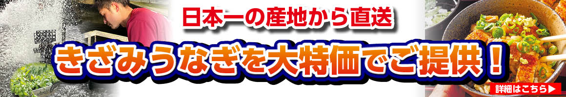 きざみうなぎ大特価