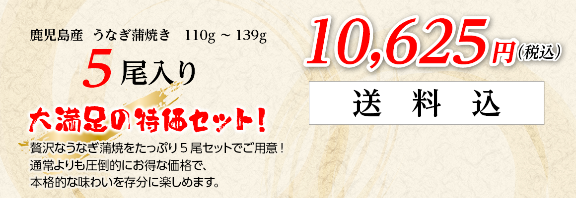 鹿児島産うなぎ蒲焼き5尾入り